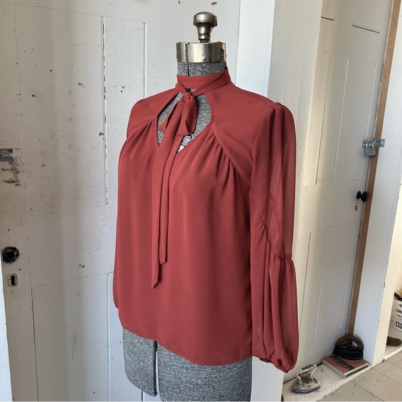 Express Rust Sheer Balloon Puff Sleeve Dress Work Shirt Blouse Top - Picture 3 of 13
